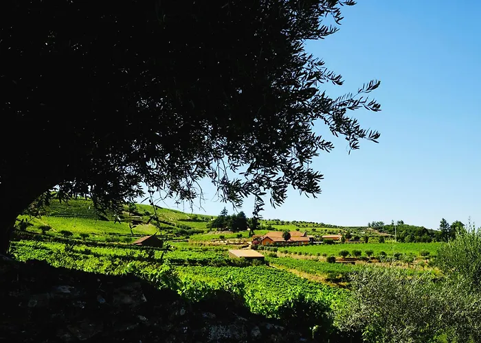 Quinta Do Monte Travesso - Country Houses & Winery Tabuaço