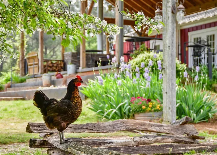 The Farmhouse Inn