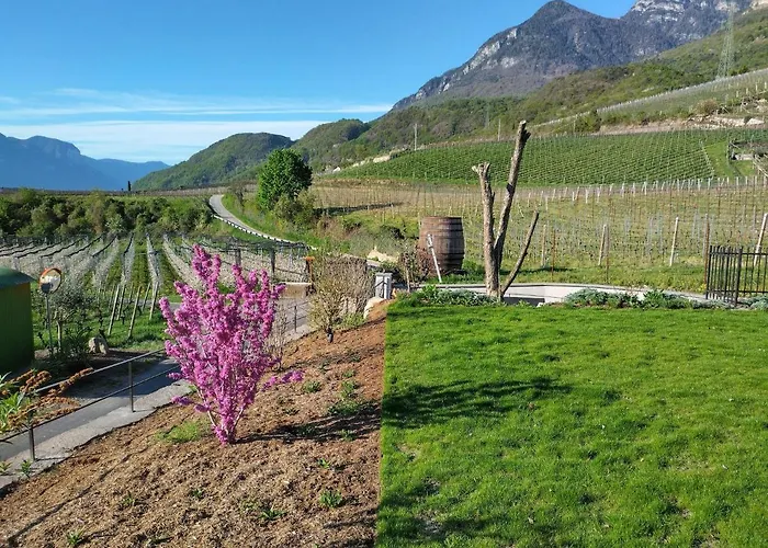 Hotel Lambrechtshof Appiano Sulla Strada Del Vino