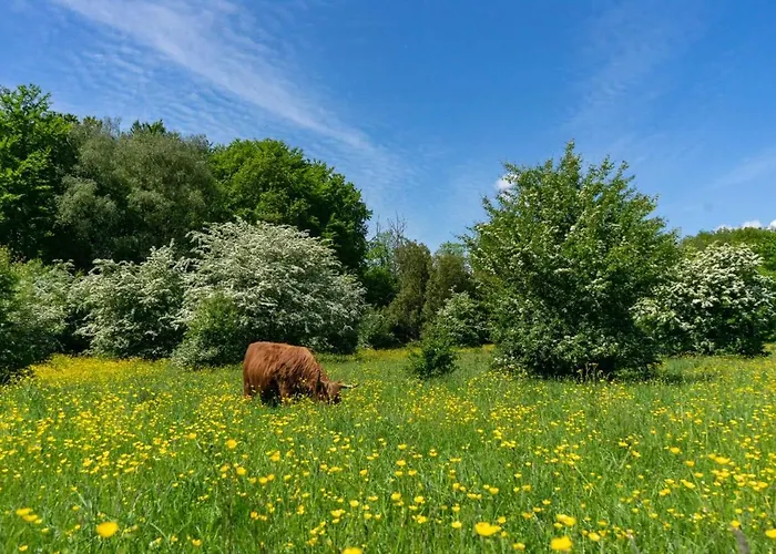 Hotel Europarcs Het Amsterdamse Bos Amstelveen