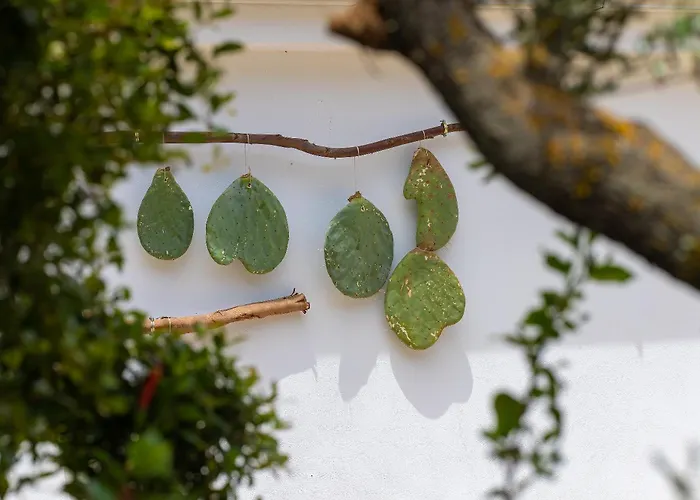 Masseria Fontanelle