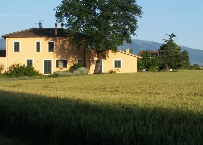 B&B Le Rose