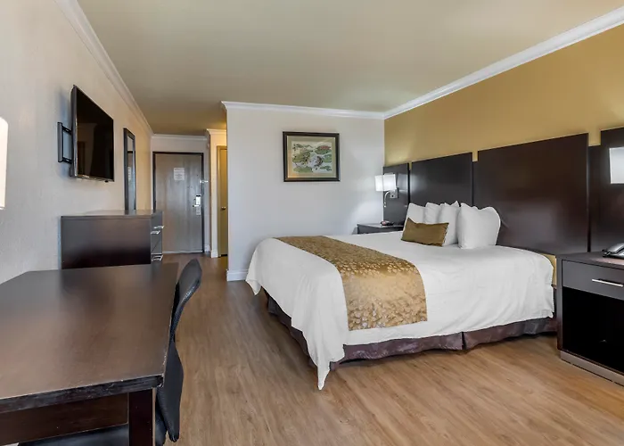 Best Western Plus South Bay Hotel
