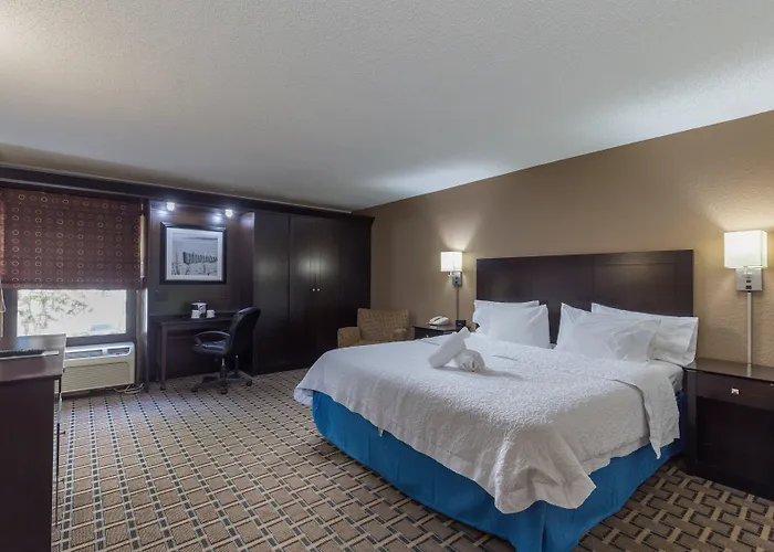 Spark By Hilton Tampa Brandon Heartland