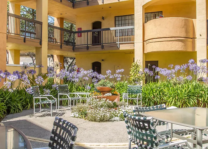 Comfort Inn & Suites San Francisco Airport North