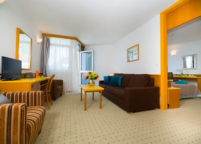 Hotel Labineca Gradac 
