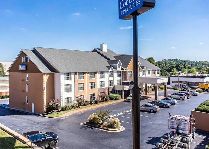 Comfort Inn & Suites Ballpark Area