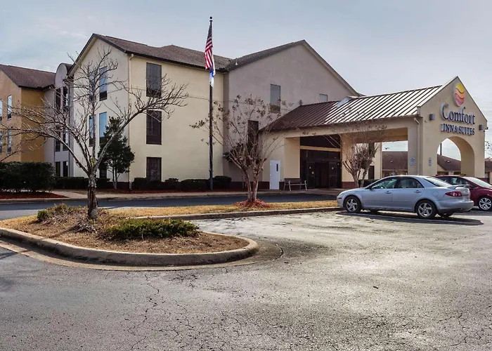 Comfort Inn & Suites Jasper Hwy 78 West