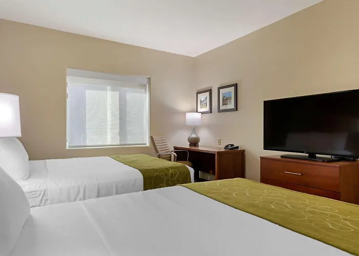 Comfort Suites -Yuba City