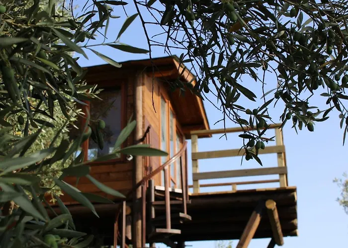 The Treehouse - Casa sull'albero al Golden Camp