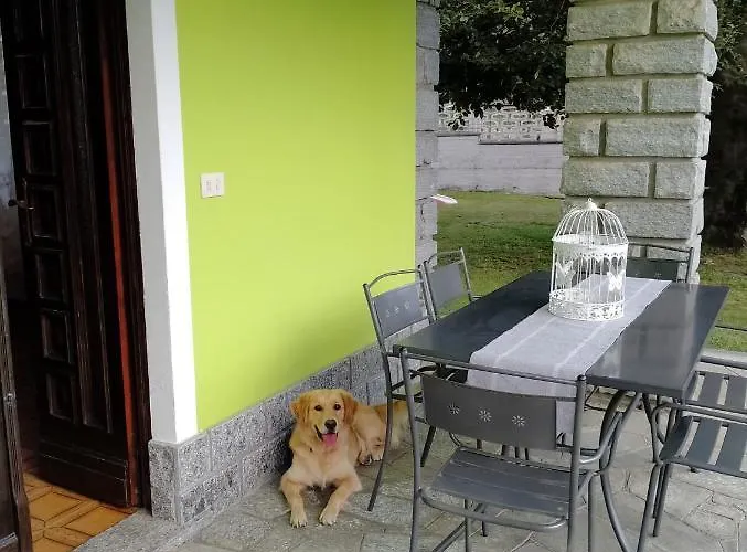 Il Faggio