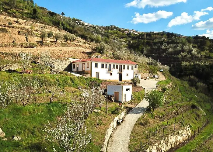Quinta do Fojo Valonguinho, Barrô