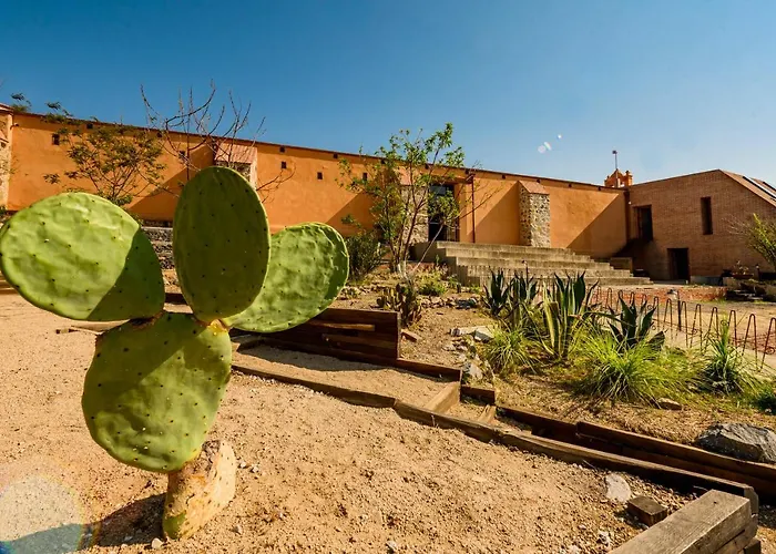Ex Hacienda San José