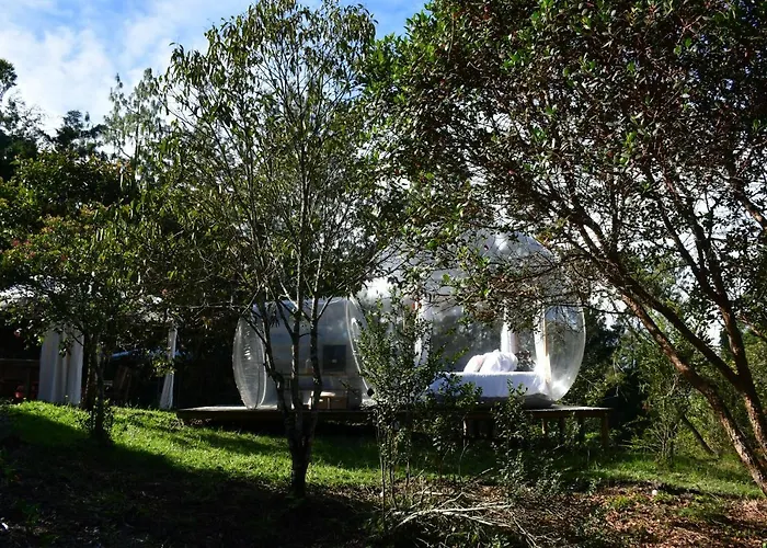 Ancestros Ecoparque