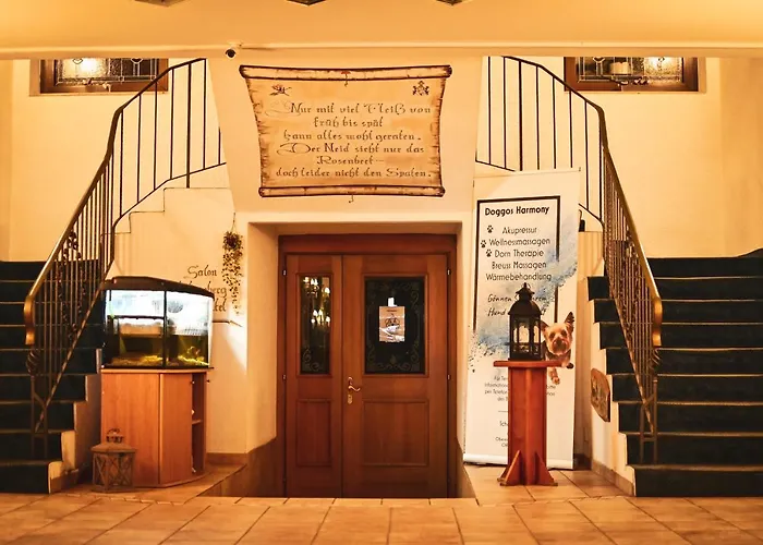 Steiger - Pfotenurlaub