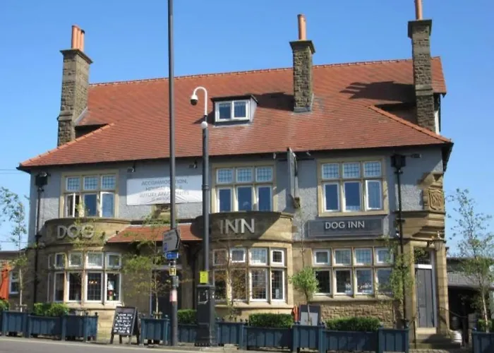 The Dog Inn