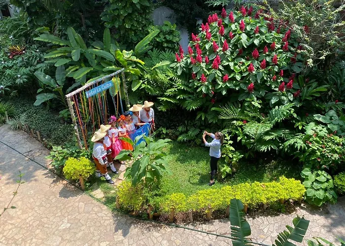 La Ceiba