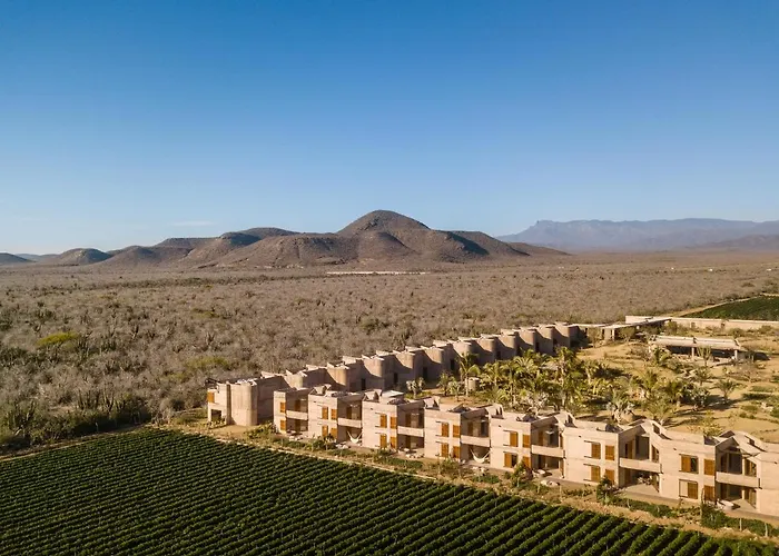 Paradero Todos Santos - Experience Inclusive