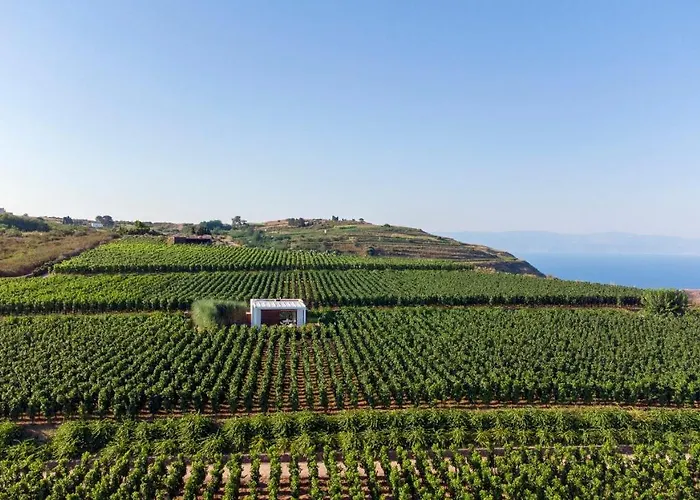 Tenuta Di Castellaro Winery & Resort