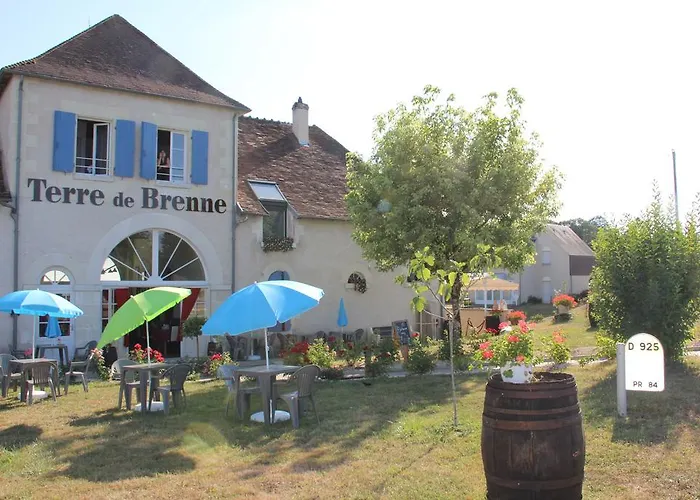 Terre de brenne
