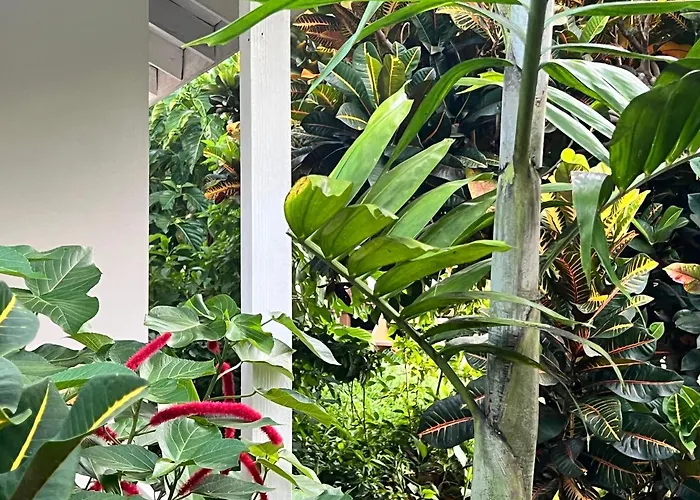 Jamaica Colors Hotel And Eco-Retreat