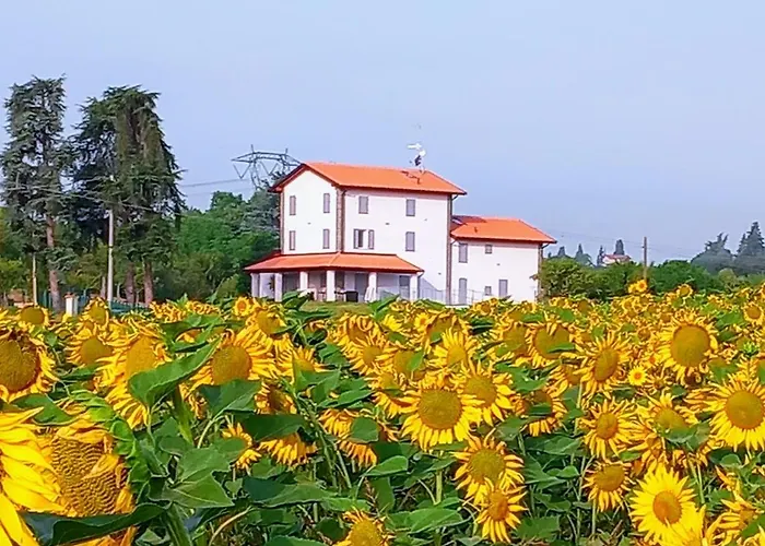 La Collinetta