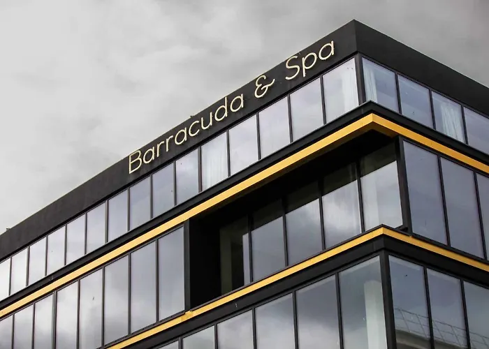 Le Barracuda&Spa, Centre Port, pieds dans l'eau, vue mer Brest