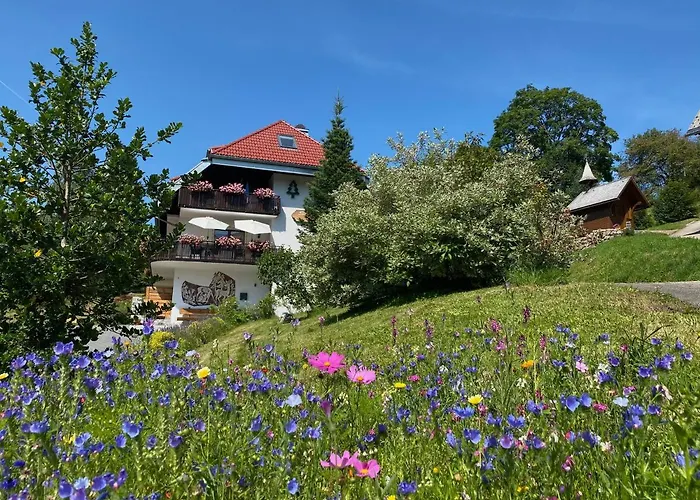 Schwarzwald Aparthotel Kräutle Feldberg 