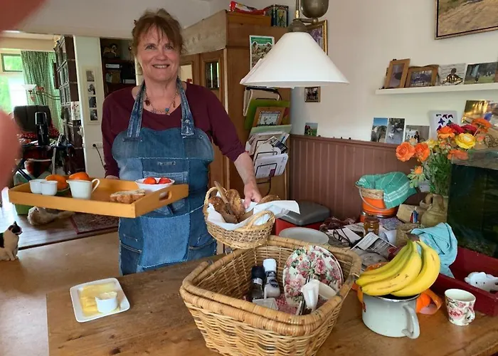 Bed&Breakfast Het Oude Bos