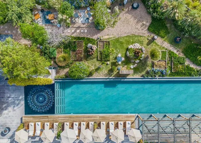 Live Aqua San Miguel De Allende (Adults Only)