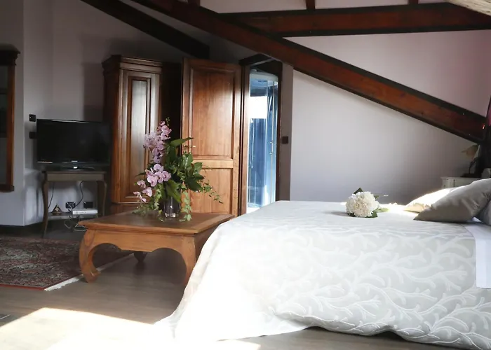 Hotel Damian Park Hotel Delle Magnolie