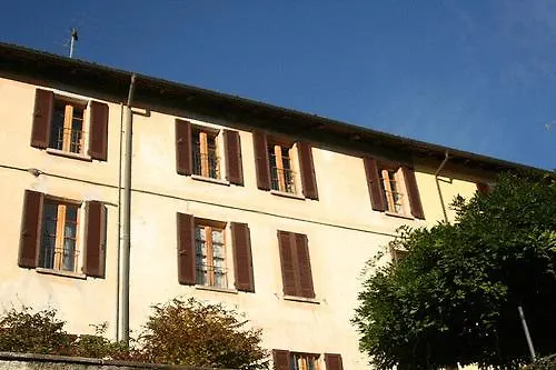 Le Camelie