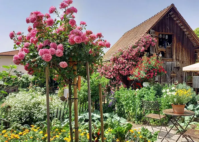 Hotel Restaurant Mohren