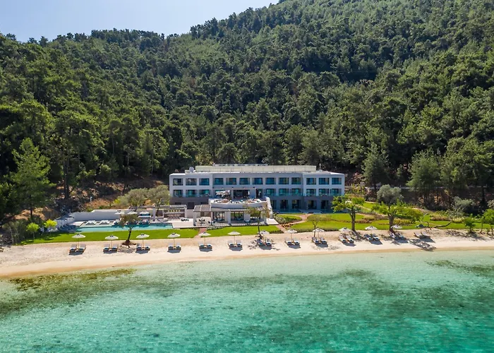 Vathi Cove Luxury Resort & Spa - Adults Friendly 14 Plus