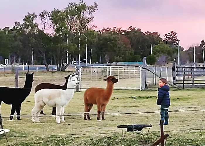 Straw House Farm - Stanthorpe