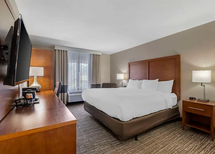 Comfort Inn & Suites I-95