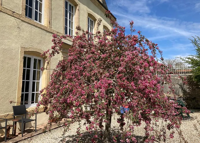 Maison Les Beaux Arts