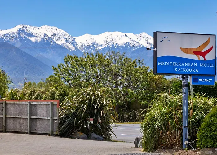 Mediterranean Kaikoura