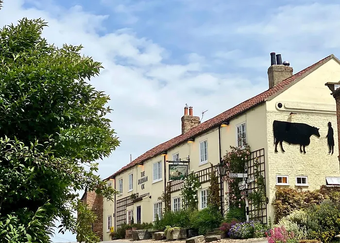The Durham Ox