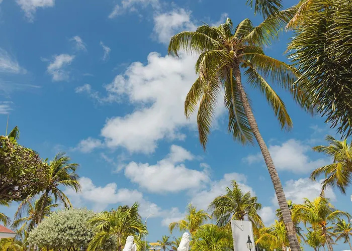 Amsterdam Manor Beach Resort Palm Beach