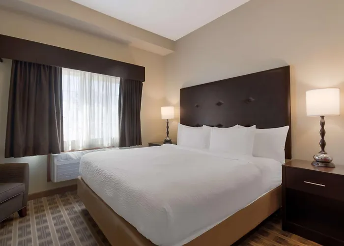 Best Western University Inn And Suites