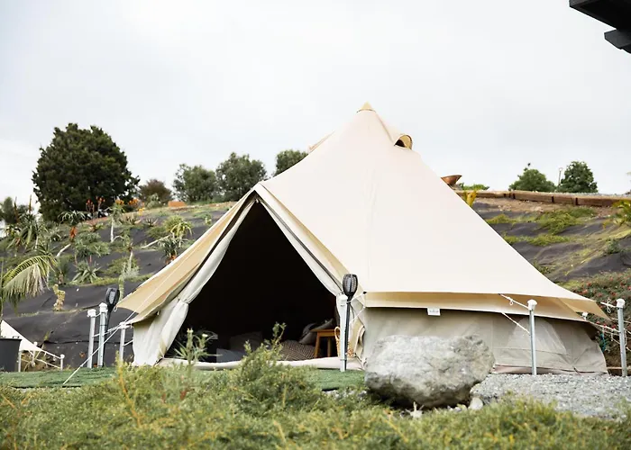 Aotearoa Surf Eco Pods