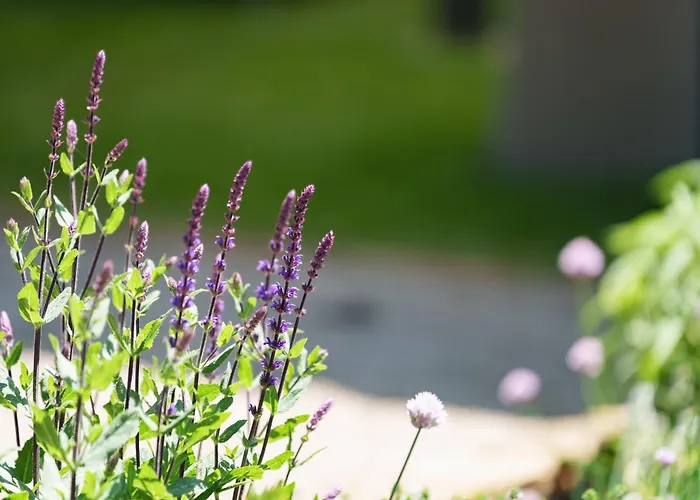 Les Jardins D'Anais