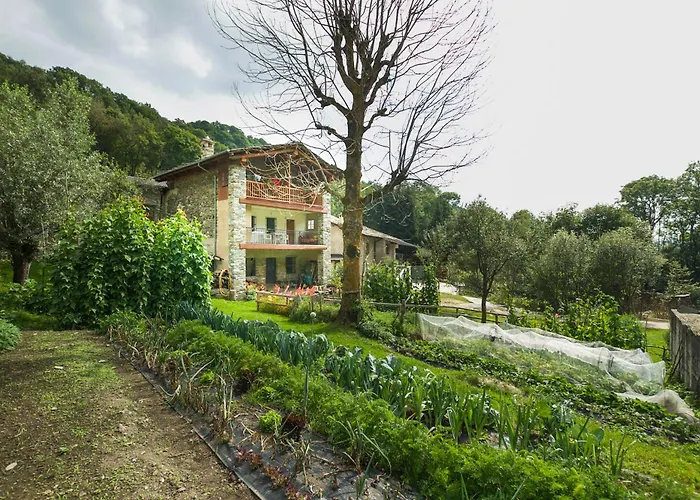 L'Escola E Lou Mulin