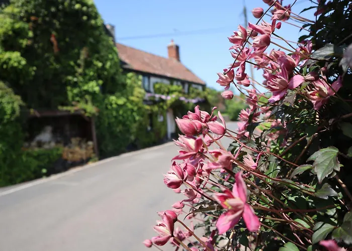 The White Horse Inn