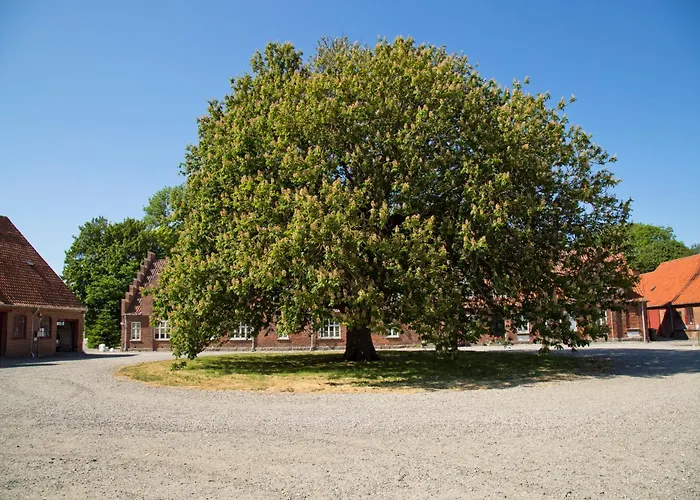 Bellinge House