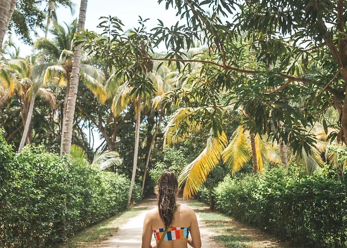Wiwa Tayrona