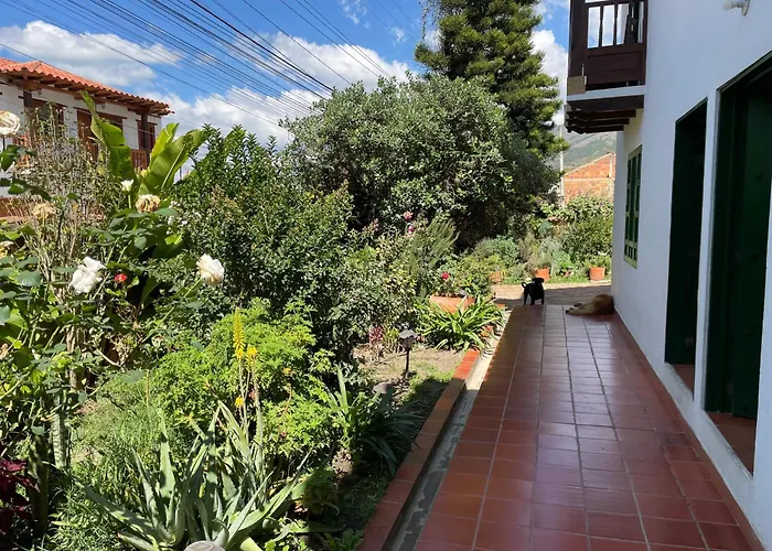 El Pino