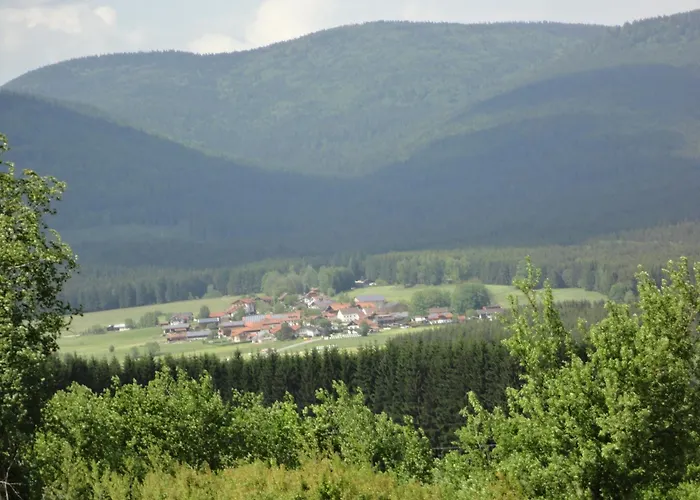 Landgasthof Brandtner Wirt Langdorf 