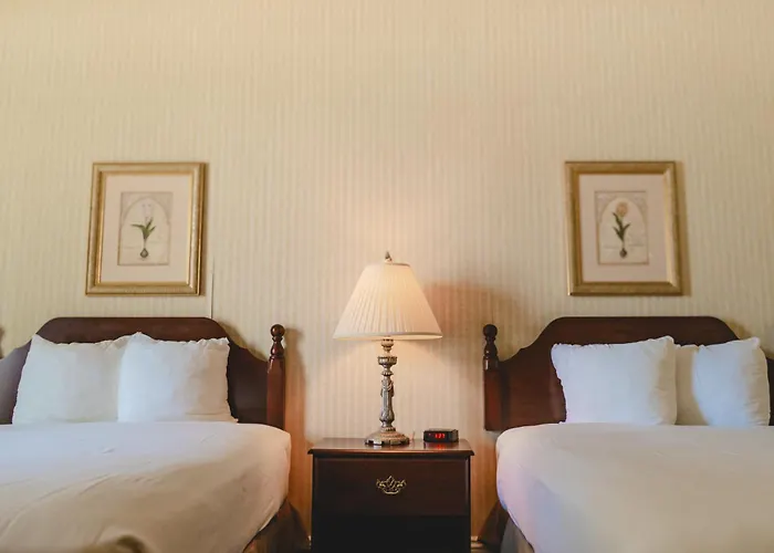 The Casablanca Hotel